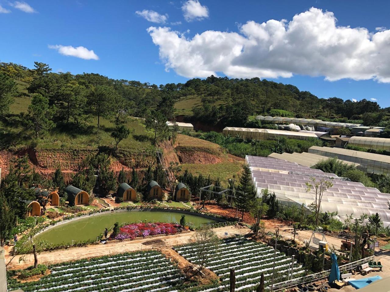 Berry Valley Homestay Dalat Exteriér fotografie